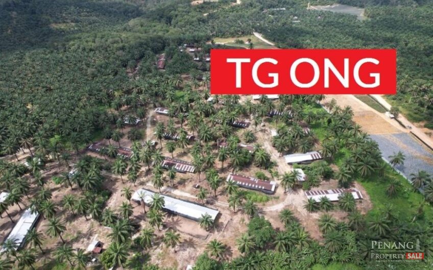 LAND SALE AT SUNGAI BAKAP JAWI 33.687 ACRE AGRICULTURE TITLE INDUSTRY ZONING